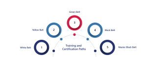 Certification ladder graphic with White Belt to Master Black Belt levels